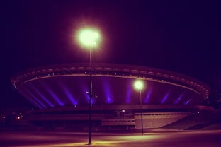 Leyu Sport下载-江苏队新秀崭露头角，未来电竞场盛放！，江苏电竞职业选手有谁